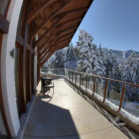 Radina's Way 4* ボロヴェッツ