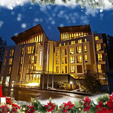 Radina's Way 4* ボロヴェッツ