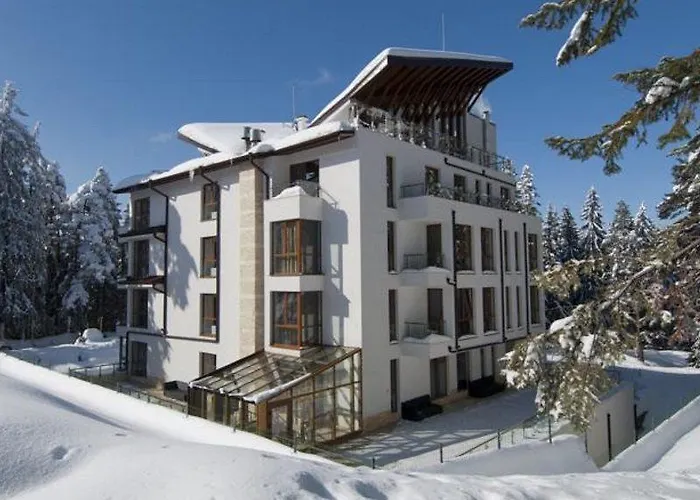 Radina's Way Borowec